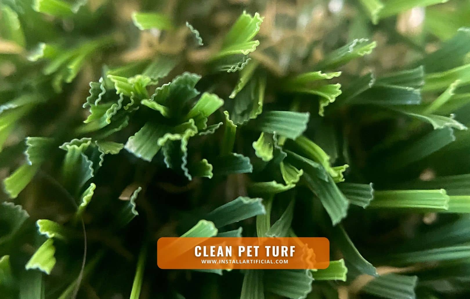 Clean Pet Turf CLose